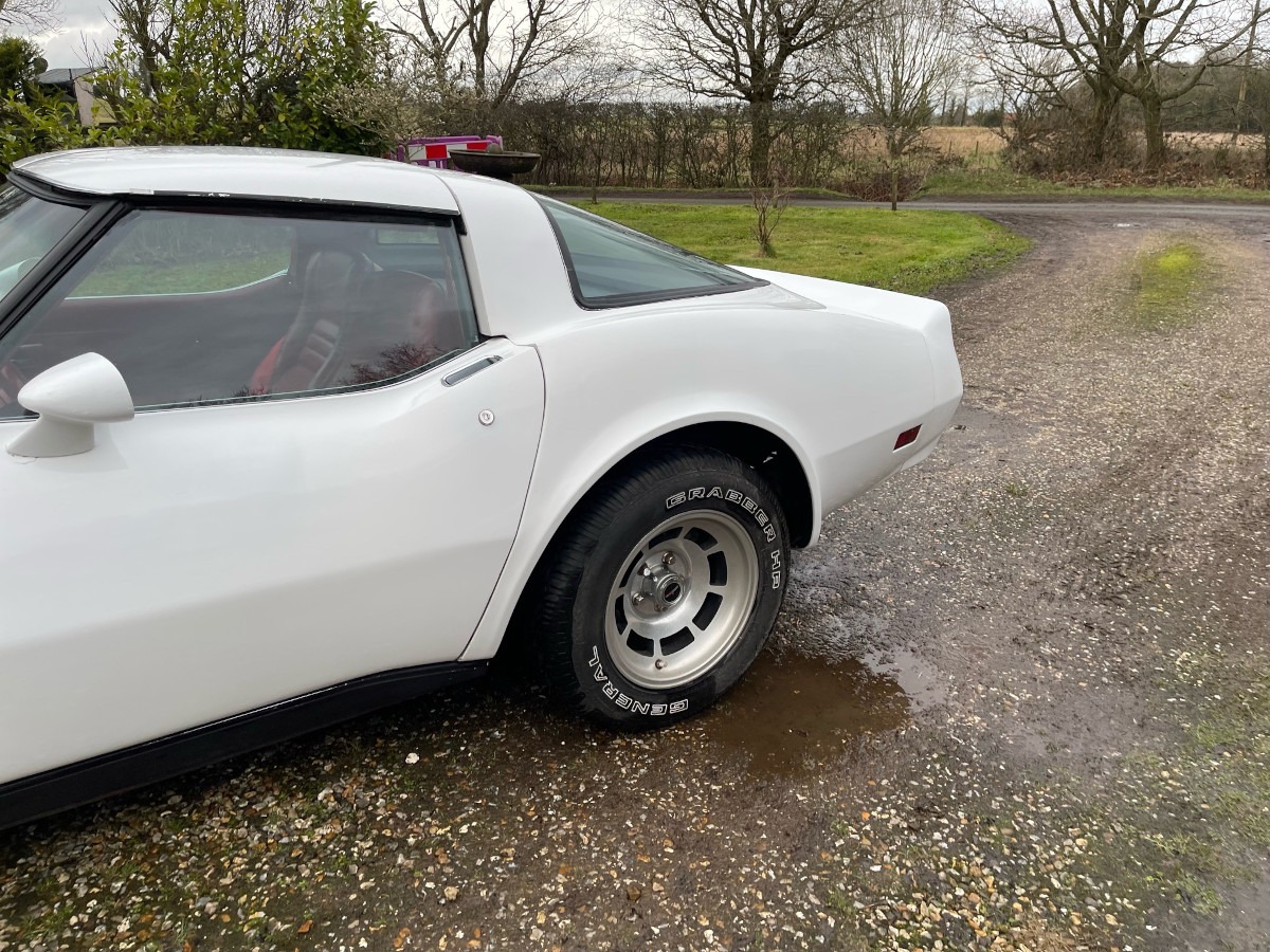 1981 Chevrolet Corvette Image 5