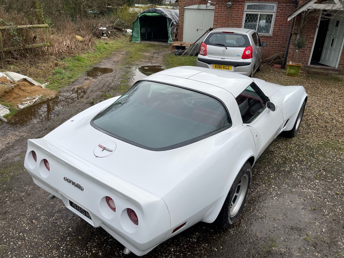 1981 Chevrolet Corvette Image 9
