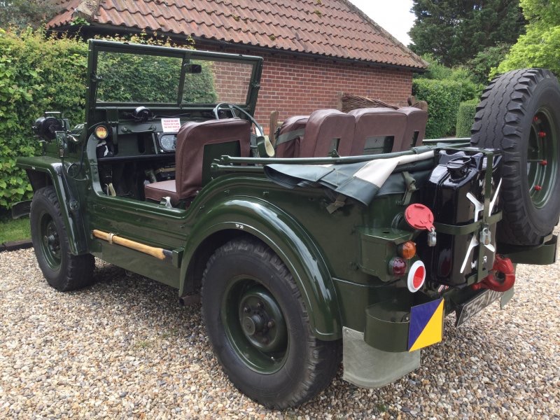 1955 Austin Champ Image 2
