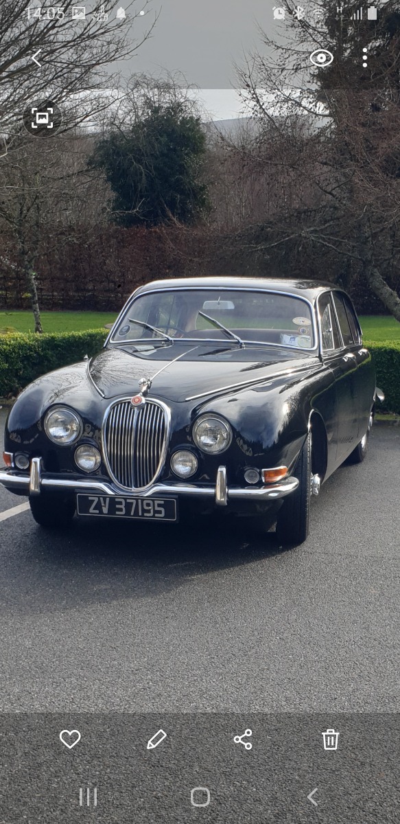 1965 Volvo P1800 Image 15