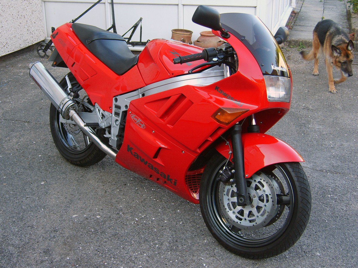 1989 Kawasaki Other Image 1