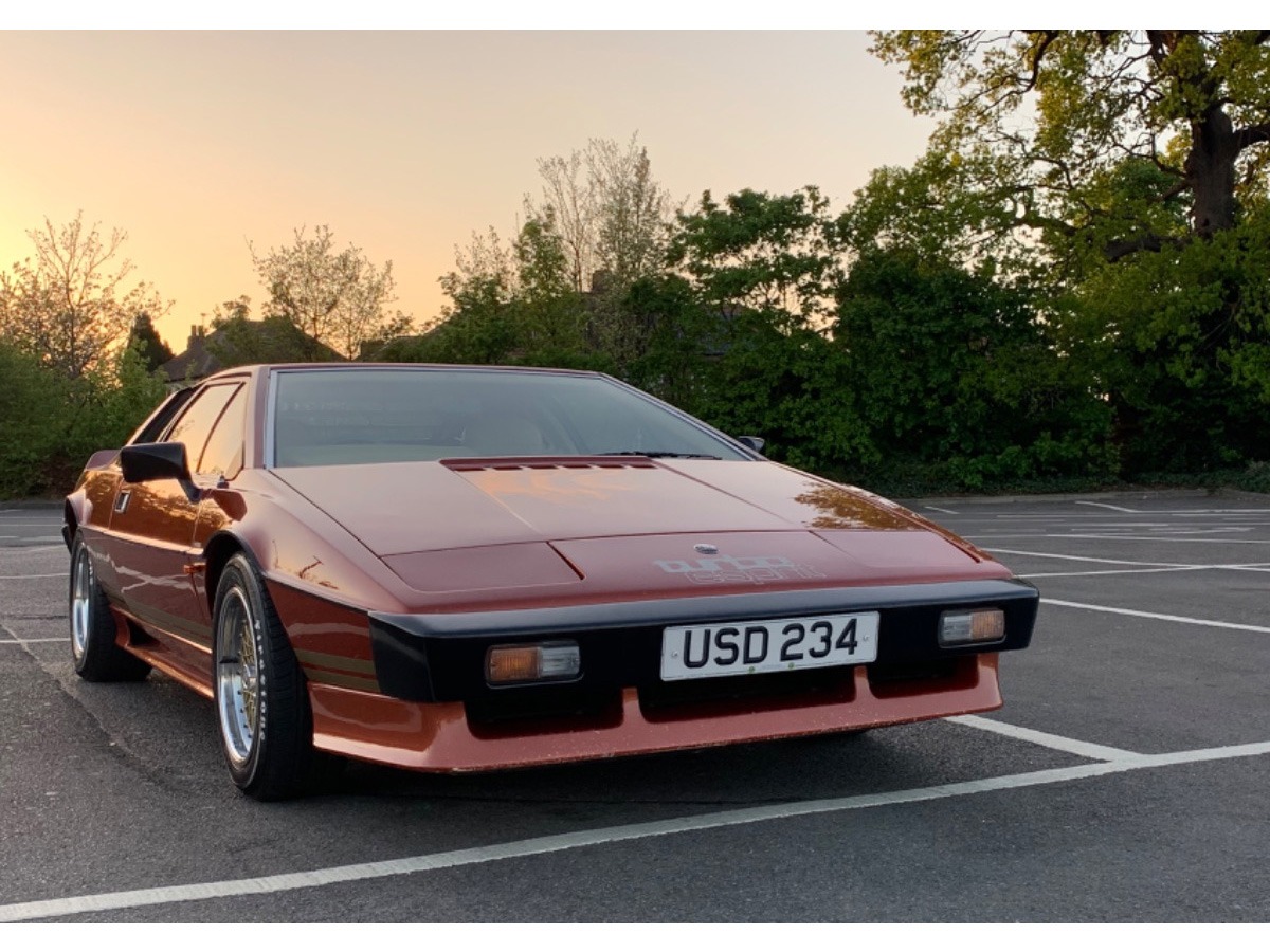 1981 Lotus Esprit Turbo Image 7