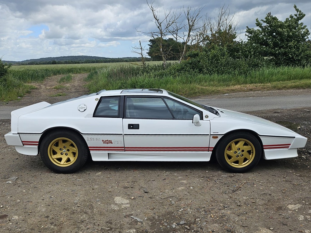 1986 Lotus Esprit Turbo Image 4