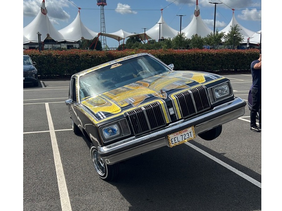 1979 Oldsmobile Cutlass Supreme Image 7