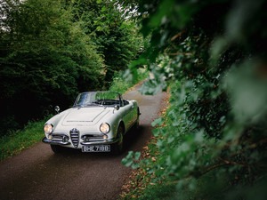 1964 Alfa Romeo Spider Image 3