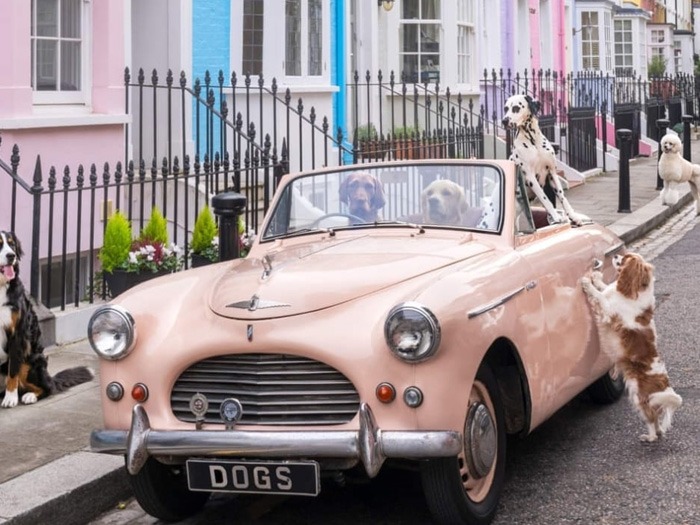 1950 Austin A40 Image 1