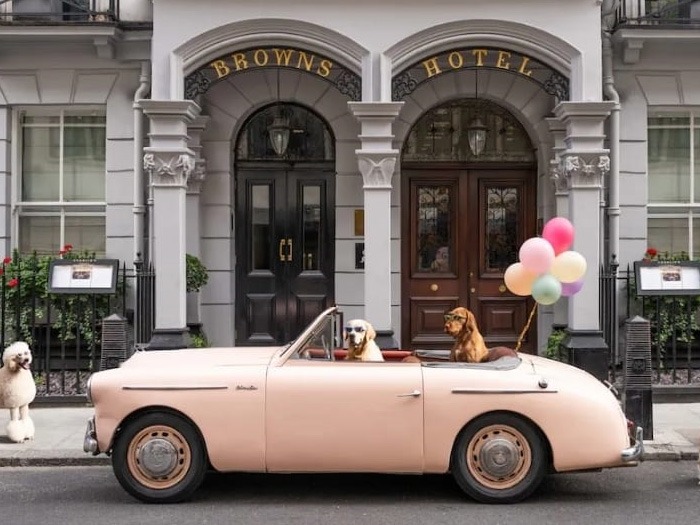 1950 Austin A40 Image 5