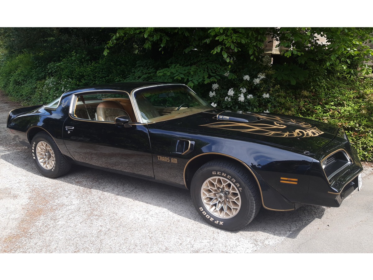 1977 Pontiac Firebird Trans Am Image 5