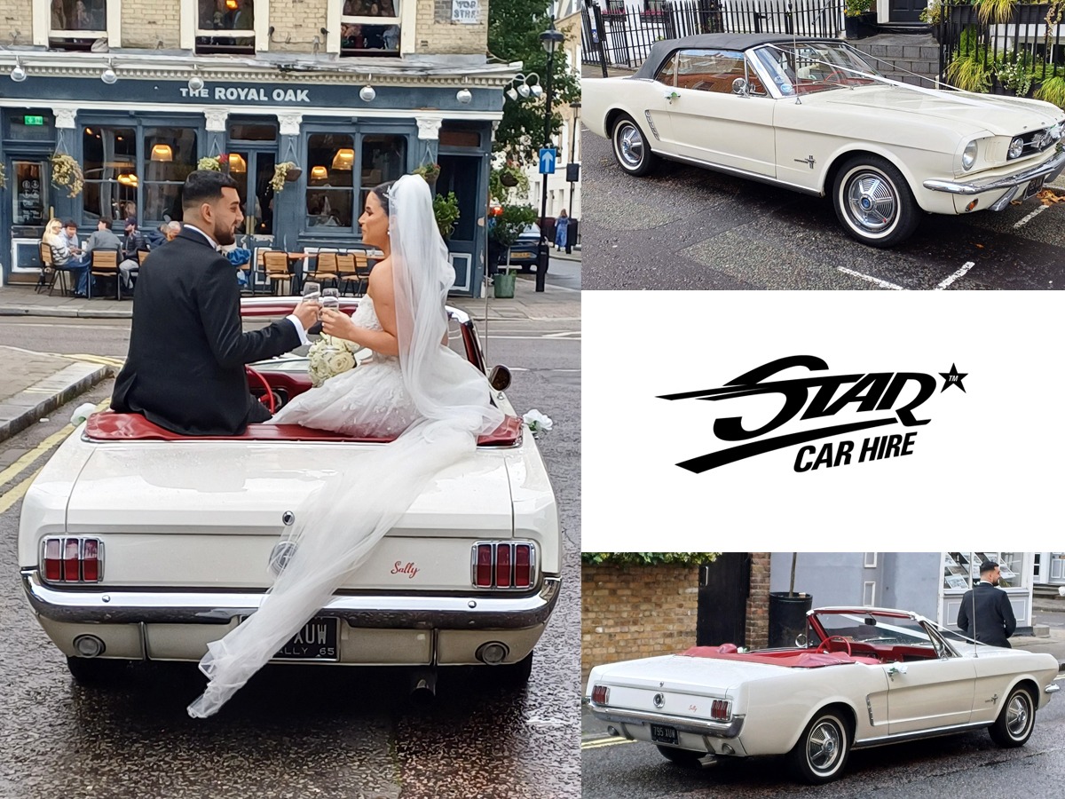 1965 Ford Mustang Image 2