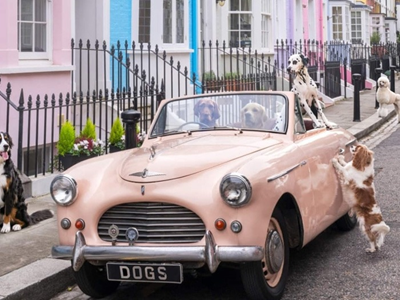 1950 Austin A40 | Star Car Hire